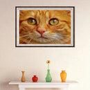 5D DIY Full Drill Diamond Painting Cat Cross Stitch Craft Kit Decor (WX063)