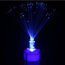 Fibre Optic LED Night Light Lamp Party Home Room Wedding Christmas Decor LJ