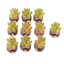 10 Pieces 1/12 Scale Decorative Artificial Succulent Cactus Plants with Wood