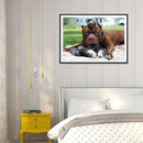 5D DIY Full Drill Diamond Painting Dog Cross Stitch Embroidery Kit (C1186)