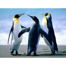 5D DIY Full Drill Diamond Painting Penguin Cross Stitch Mosaic Kit (WX170)