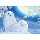 5D Diy Diamond Painting winter owl Cross Stitch diamond Kits Home Decoratio