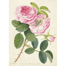 DIY Diamond Painting Cross Stitch Needlework Mosaic (t398 Pink Flower)