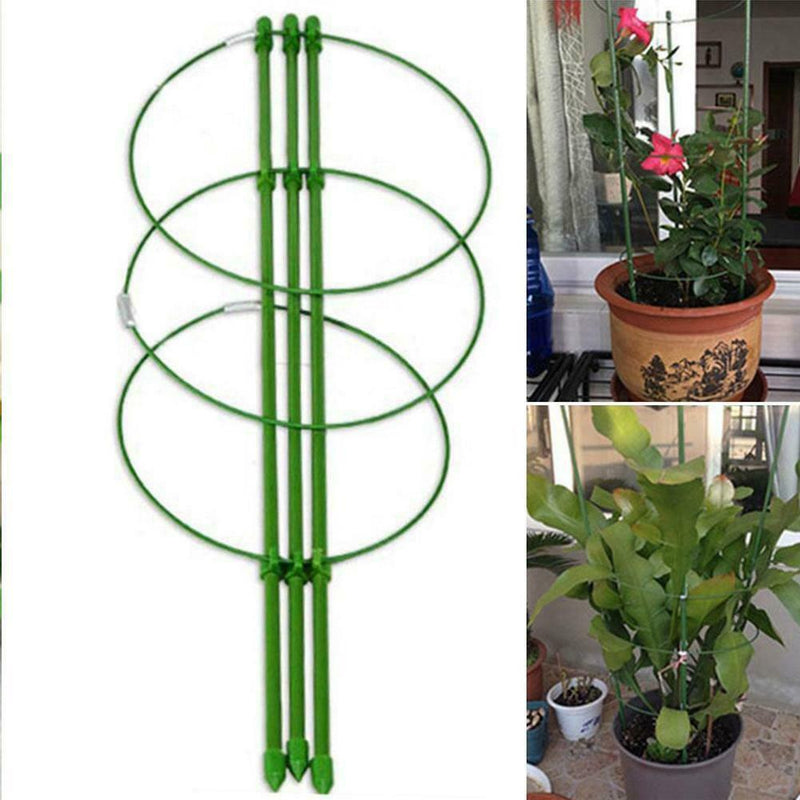 Buy KHATI Plant Support Rings Garden Trellis Climbing Plants Flowers Grow  White Online at Low Prices in India - Amazon.in