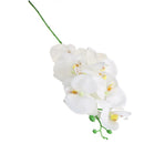 4x White Artificial Butterfly Orchid Silk Flower for Home Wedding Party 93cm