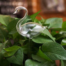 1x Glass Water Feeder Flower Plant Self Watering Bird Plant Waterer Garden  New