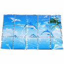 Home Decorative Kitchen Dolphins Playing In The Seagull Waterproof Wall Sti
