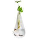 Hanging Clear Home Glass Wall Mounted Hanging Vase Bottle Plant Flower Ball P1P8