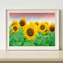 Sunflower 5D DIY Full Round Drill Diamond Painting Mosaic Beadwork (A918)