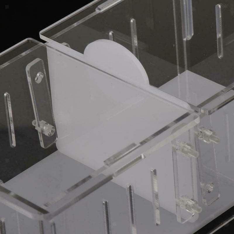 Reptile  Box Amphibian Feeding Container for Spider  Chameleon