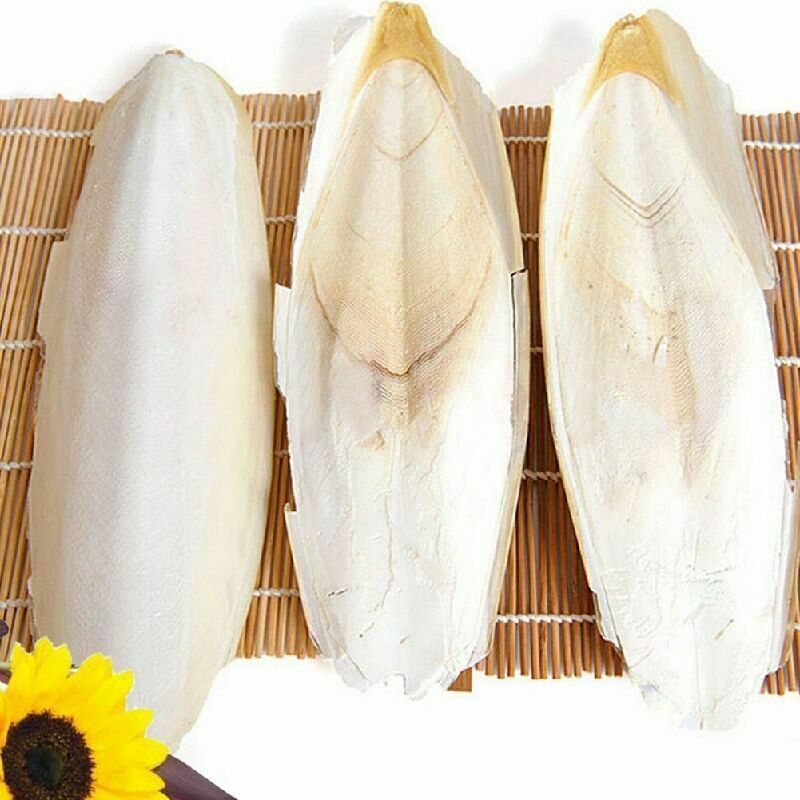 1 Bag Cuttlefish Cuttle Fish Bone Parrotts Birds Reptiles L9N6 Food Tortois Y4Q0