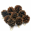 Pack of 9 Decorative Hanging Pinecone Christmas Tree Decorations Z2J9