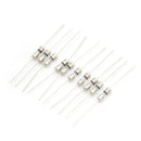 10pcs Glass Tube Fuse Axial Leads 3.6*10mm 1A Slow Blow FT