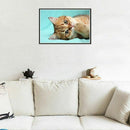 5D Diy Diamond Painting Cat Partial round Diamond Embroidery Cross Stitch l