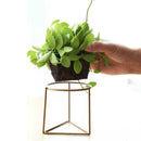 Nordic style geometric iron rack holder metal stand with ceramic planter ta E6T1