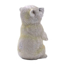 Solar Power LED Bear Colorful Lawn Light Outdoor Garden Yard Landscape Lamp