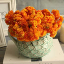 Artificial Fruit Succulent Grass Plant Desert Landscape Flower Decor Orange