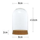 8x12&6.5x10cm Glass Dome Cover Cloche Jar Succulent Terrarium with Wood Cork