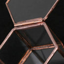 Geometric Glass Terrarium Box Jewelry Box Glass Succulent Plant Pot Deco He P2V7