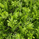 60x40cm Artificial Meadow Artificial Grass Wall Panel for Wedding or Home D I9S6