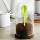 1X Jar Salt Shaker Spice Tea Coffee Sugar Storage Container With Spoon FAQ
