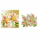 5D Embroidery Paintings Rhinestone Pasted DIY Diamond painting Cross Stitch
