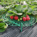 Strawberry Stand Frame Holder Balcony Planting Rack Fruit Plant Flowers E4L4