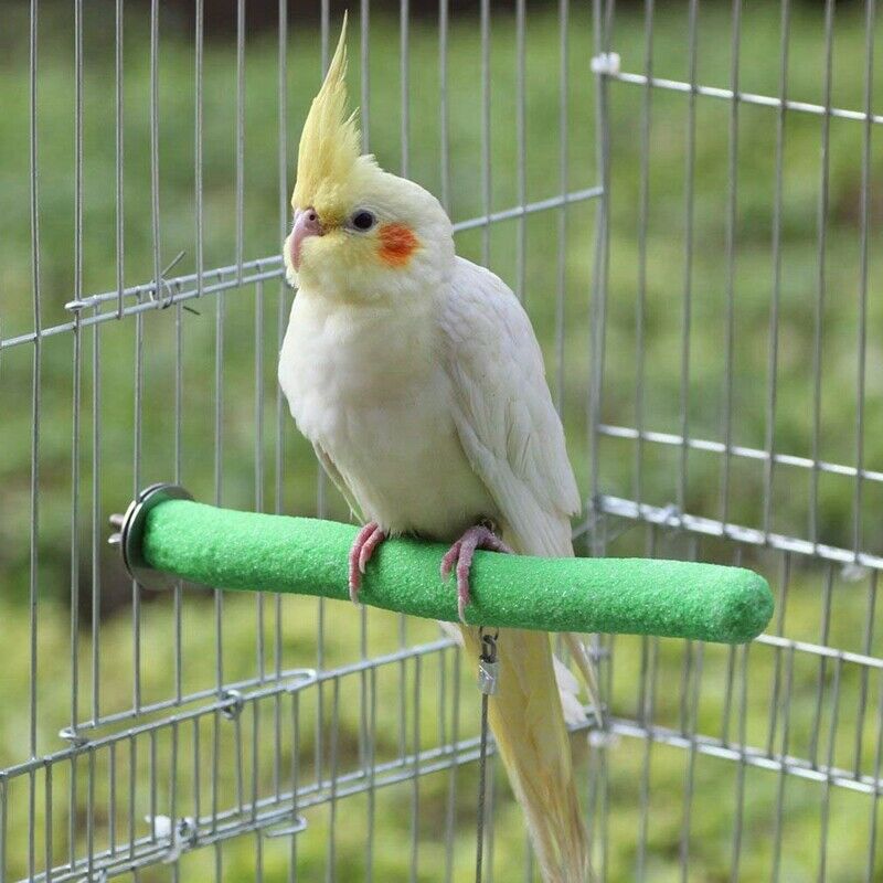 Parrot Perches, 5pcs Bird Perches Budgie Perch Cockatiel Perch Birdcage Sta D3U6
