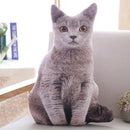 1pc 50cm Simulation Plush Cat Pillows Soft Stuffed Animals Cushion Sofa Dec Q5V9
