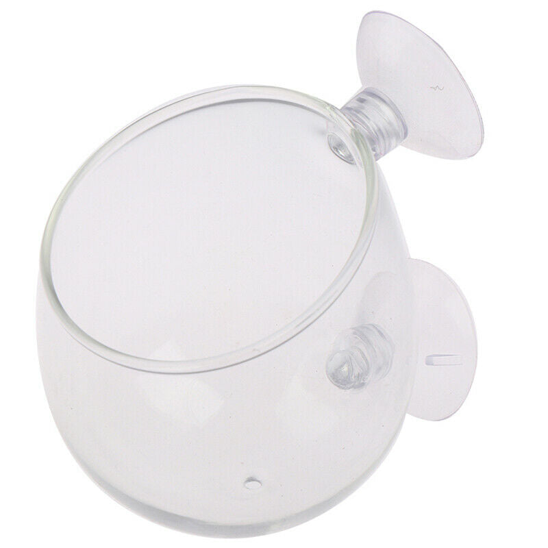 Fish Tank Mini Crystal Glass Pot Water Potted Aquatic Planting Cylinder Cup g Tw