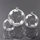 Hanging Glass Flower Vase Bottle Hydroponic Terrarium Container Decor - 15c J3M3
