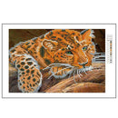 35x25cm 5D Diamond Leopard Painting DIY Cross Stitch Needlework Craft Decor