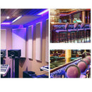 12V UV Ultraviolet Purple LED Strip Lights Waterproof UV Lamp 5050