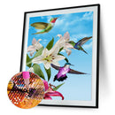 5D Bird DIY Full Round Diamond Painting Home Decor Art Cross Stitch (B1066) A