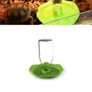 Reptile Pet Tortoise Automatic Food Drink Water Dispenser Feeder Favor Roun B7D3