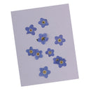 20x Pressed/Dried Flowers Forget me not Scrapbooking Art Craft DIY Materials