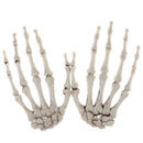 Simulation Skeleton Hands Haunted House for Halloween Party Halloween Prop_t Hn