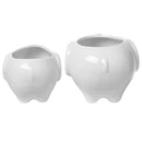 Set of 2 Cute Elephant White Ceramic Flower Pot with Tray for Succulents Ca S8K5