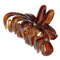 Brown Hair Claw Clamp Clips Acrylic Barrette Hair Accessory Hairwear Holder