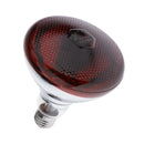 Waterproof E27 Infrared Bulb 175 Watt For Reptile Habitat 220V