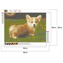 5D Diamond Painting Full Drill Puppy DIY Cross Stitch Pictures (WB031) A