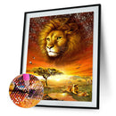 5D DIY Diamond Painting Lawn Lion Full Round Drill Embroidery Home Decor A