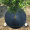 20pcs Non-Woven Fabric Mulch Rings Tree Shrubs Grass Barrier Mat 19.7''