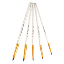 5 Pcs Painting Brushes Set Acrylic Oil Watercolor Paint Artist Paint Brush