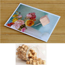 50 Pieces Map Tacks Wood Push Pins Wooden Head Steel Point Home Office Projects
