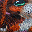 5D Diy Full Drill Special Shaped Diamond Painting Rhinestone Diamond Embroi