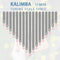 Transparent Kalimba Acrylic 17 Keys with Tuning Hammer and Case for Beginners