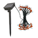 Solar LED Light Fairy String Honey Lamp Xmas Outdoor Garden Decor (50LED)