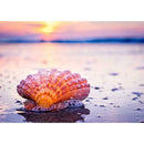 5D DIY Full Drill Diamond Painting Cross Stitch Kit (Sandy Beach-k532)