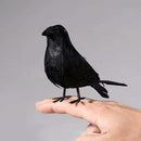 1pc Realistic Raven Movie Prop Halloween Decoration Birds Black Feathered Crows